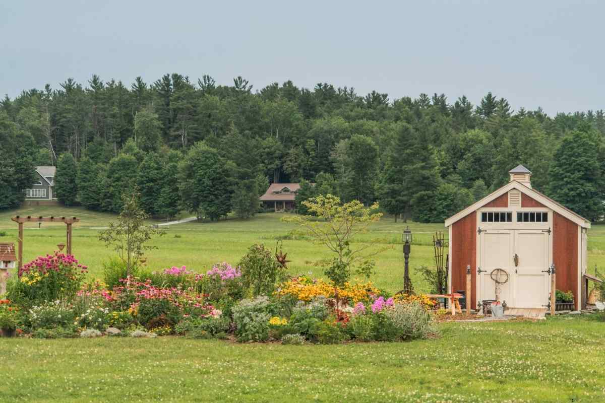 Garden Shed